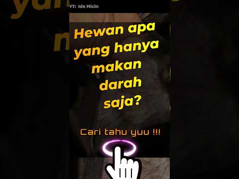 Hewan ini hanya makan darah, ogah yang lain?
