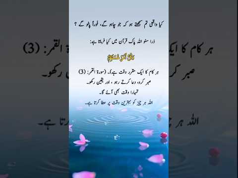 #quotes #poetry #motivation #aqwalezareen #4line #love #shorts