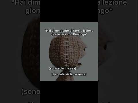 Posso scrivere il testamento #meme #memes #italiaonline #duolingo #ironia #cranktv #top #divertente