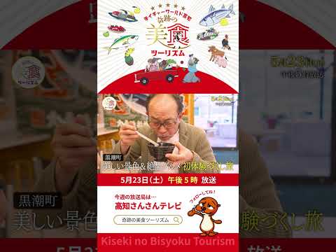 南極だ…🥶❄ホエールウォッチング、カツオの一本釣りも!海の恵みあふれる初体験づくしの旅 #奇跡の美食ツーリズム #奇跡の美食学 #高知グルメ #高知旅行
