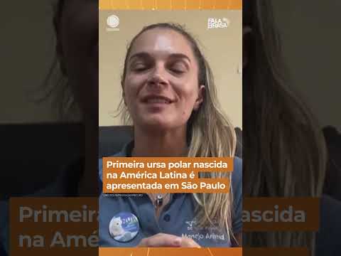 Primeira ursa polar nascida na América Latina é apresentada em um aquário de SP #Shorts #FalaBrasil