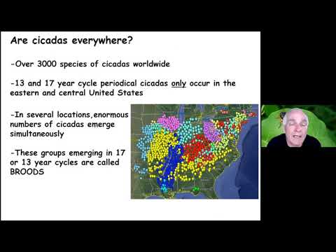DC Master Gardener Spring - Summer Series Episode #2