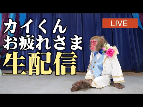 カイくん引退…!お疲れさま生配信!!