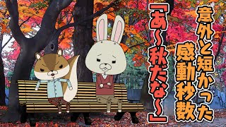 紙兎ロペ Vtuberチャンネル登録者数