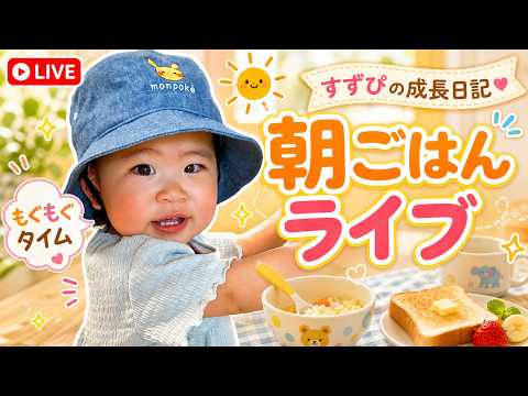 【すずちゃんご飯ライブ配信中!】5/21 さえちゃんが順調に体重が増えていて安堵☀️