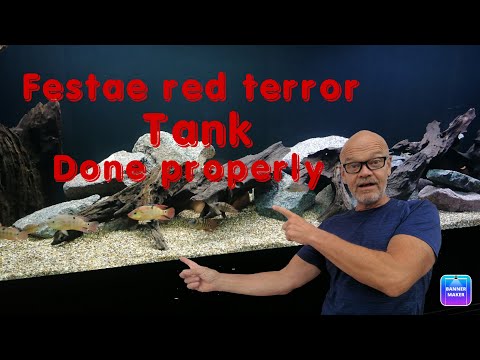 Red terror festae tank set up. Red terror festae tank set up. For ever home. Job done properly.