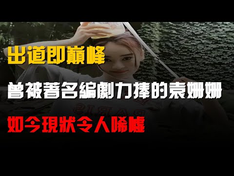 出道即巔峯,曾被著名編劇力捧的袁姍姍,如今現狀令人唏噓