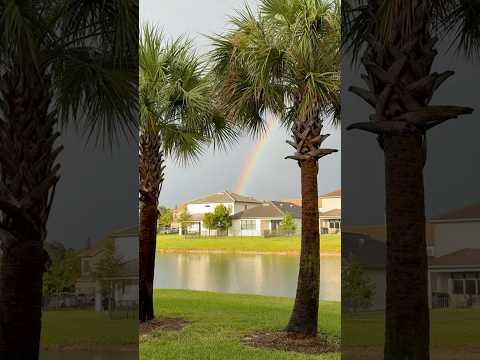 ❤️ #shorts #floridalife #rainbow