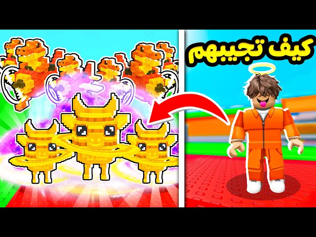 ربلوكس فعلت حدث لافاكا ساتورنو وكروكودولليتوس  ! Steal A brainrot