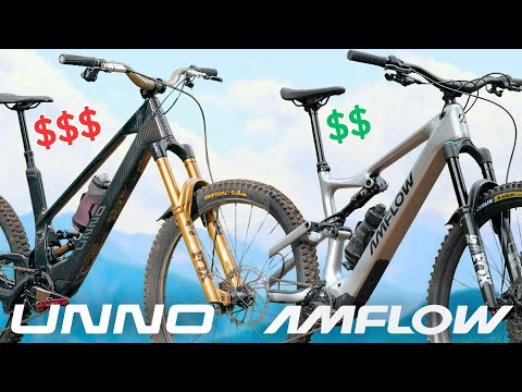 AMFLOW vs UNNO | which Avinox eBike to choose?