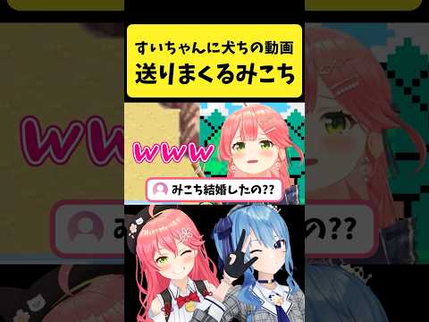 Vtuberの動画サムネイル - すいちゃんに犬ちの動画を大量に送っていると言うみこち【さくらみこ/ホロライブ切り抜き】#shorts