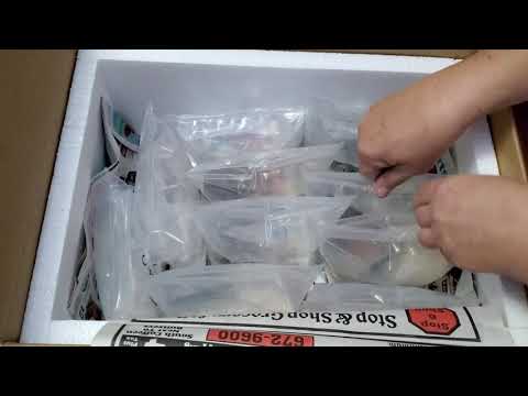 Unboxing from Dan's Fish 6 bumblebee gobies and 7 gimpy angels. Love the new fish.