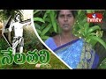 Nelathalli: Woman farmer explains about cucumber farming technique