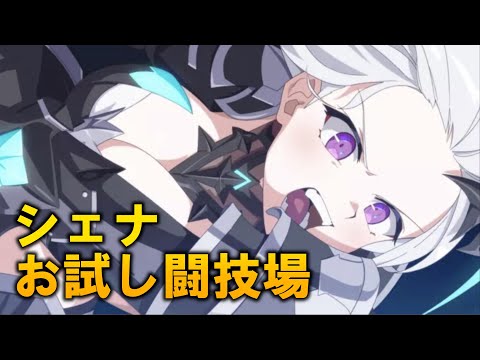 【エピックセブン】とりあえず使ってみた！難しすぎる英雄シェナ【Epic 7】