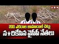 200 ఎకరాల జామాయిల్ చెట్లు న*రికేసిన వైసీపీ నేతలు | Nellore YCP Leaders| Jamayil Trees | ABN Telugu