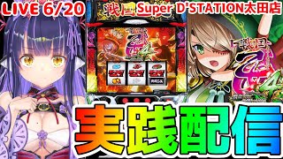 【パチスロライブ】機嫌直してほしい『L戦国乙女4 戦乱に閃く炯眼の軍師』を来店実践！『もみみの平和なパチスロ実践』【くろいけもみみ/Vtub