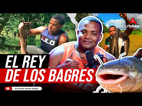 EL REY DE LOS BAGRES (TODO LO QUE TIENES QUE SABER DE ESTA ESPECIE CON JAVIER GOLDFISH)