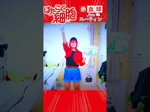 【はたらく細胞】白血球 赤血球 1日のルーティン やってみた!コスプレで実写再現! Cosplay Cells at Work! アニメ 映画 コミック ♥ -Bonitos TV- ♥