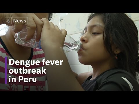 Record Dengue Fever outbreak in Peru as climate change helps mosquitoes thrive