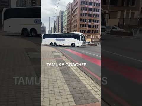 Tamuka MCV to Harare#automobile #bus