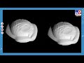 NASA shares pic of a dumpling-like object