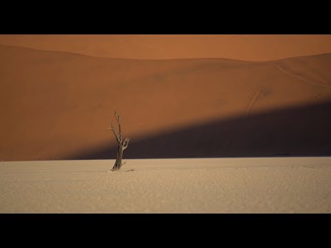 In Praise of Nothing'