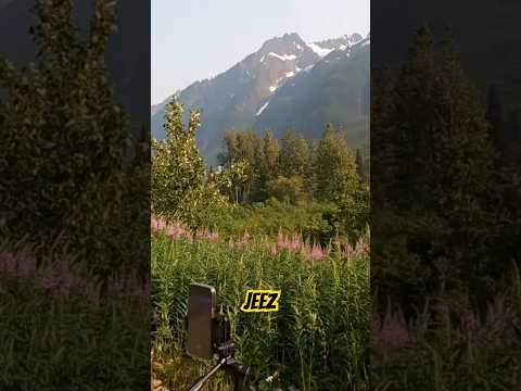 Stewart Pictures along the roadside #motorcycleadventure