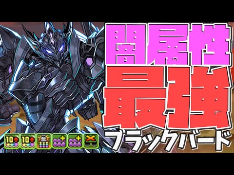 【多次元】ブラックバードが闇属性最強！越鳥も余裕の時代に！？闇ロボ使ってみた【パズドラ】