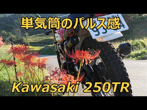 カワサキ250TR シンプルな単気筒のパルス感を楽しむ。
