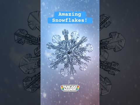 ❄️ Snowflakes are beautiful and amazing! See them close up! #snow #snowflakes #winter