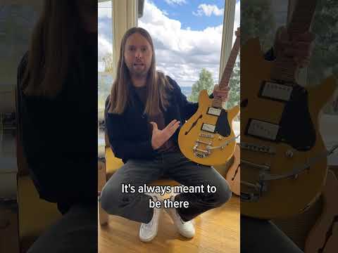 James Valentine's 4 FAVORITE Features on this Guitar