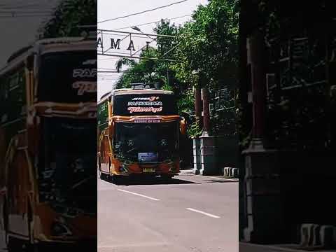 Basuri mandala putra #basuri #busmania #hiburan #shortvideo