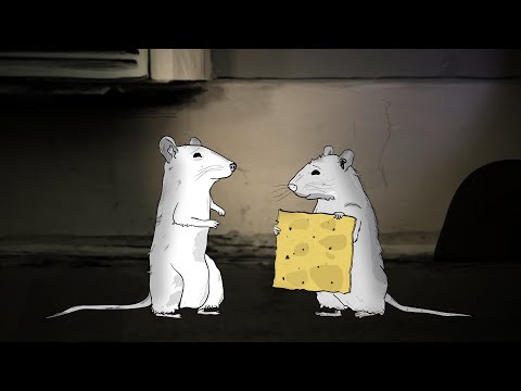 Animals.'