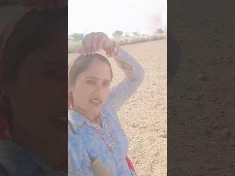 मैं कुछ नहीं कर रही कानू को पापा कर रहा है #kaludevtanewsong2025 #manrajdiwananewsong2025