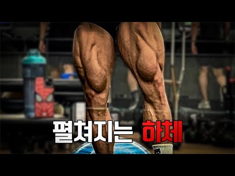 두껍고 펼쳐지는 하체 만드는 5가지 하체 운동