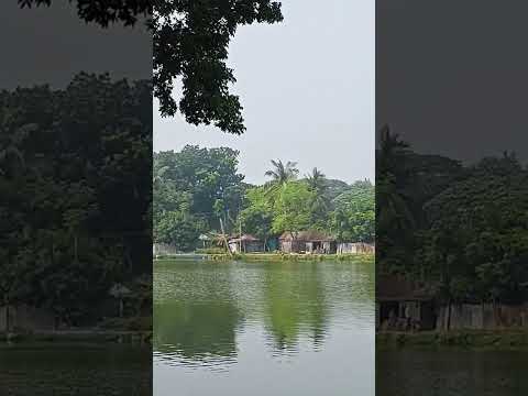 want peace: give a look | একবার দেখো শান্তি পাবে |