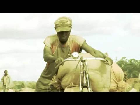 Pale peko bantu mambo ayikosake'