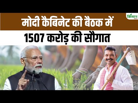 Modi Cabinet Briefing :  बैठक में बड़ा ऐलान। किसानों पर क्या पड़ेगा असर। Ashwini Vaishnaw। PM Modi