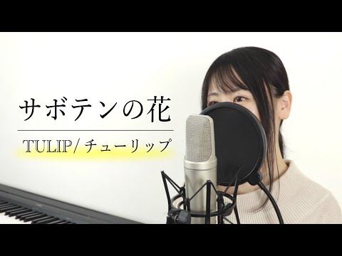 サボテンの花 〜ひとつ屋根の下より〜 / チューリップ（財津和夫）【Macro Stereo】