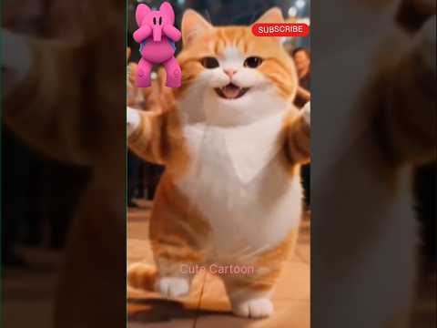 wow 😳😺cat dance 😻😺|Cat dance|#shorts #cat #catvideos #cutecartoon #usacats