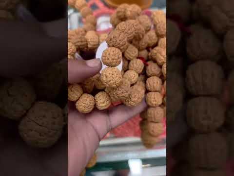 6mukhi#hindugod #shivashakti #shiv rudraksha breslet