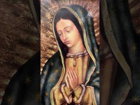 Momento destacado en directo