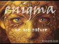 enigma we are nature
