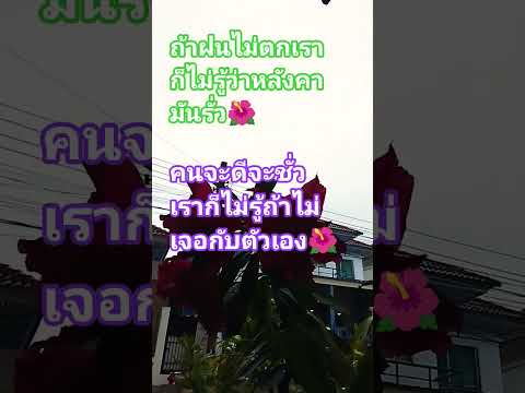 #ถูกต้องที่สุดอันนี้เรื่องจริงฝนตกทีไรก็ได้ซ่อมบ้านถูกจุด😀😃😅