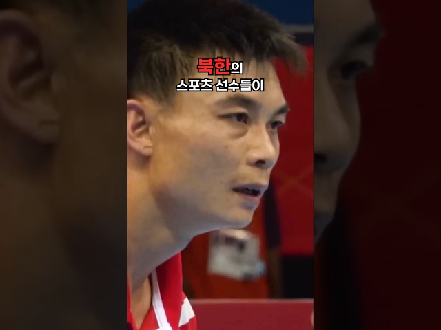 북한 선수가 대한민국 선수에게 지면 벌어지는 일