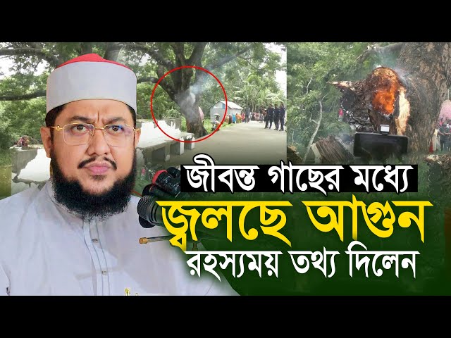 জীবন্ত গাছের মধ্যে জ্বলছে আগুন! আসল ঘটনা কি? সাদিকুর রহমান আজহারী Sadikur Rahman Azhari Waz