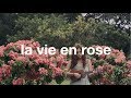 Mp3 تحميل La Vie En Rose Lyrics Cover By Chloe Moriondo أغنية