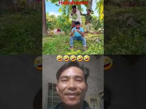 giải trí cứ vui là cười