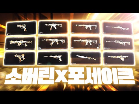 똑같은 디자인의 스킨이 12개...? 소버린 3.0 언제 나오지...