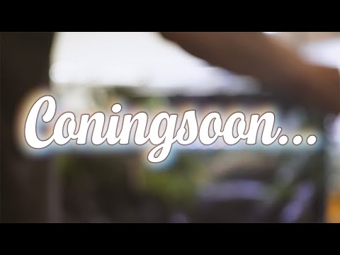 【予告】珍しい水槽で新しいレイアウトを作っています【ビバアクア】#アクアリウム #ビバリウム #テラリウム